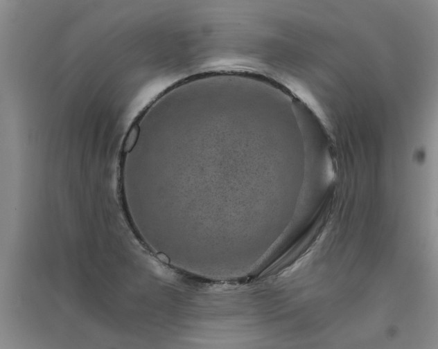 X0000091361277200708171516