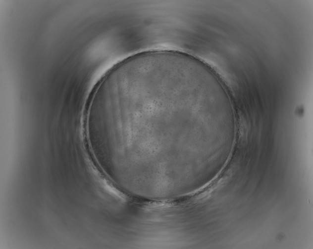 X0000091361278200708171516