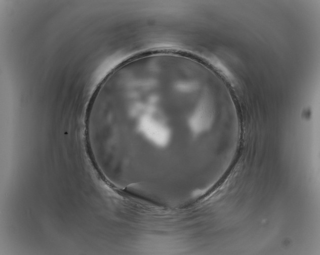 X0000091361279200708171516