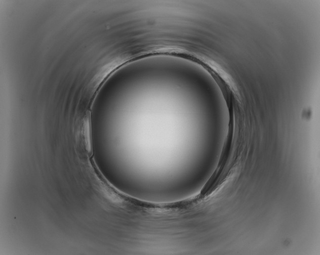 X0000091361281200708171516