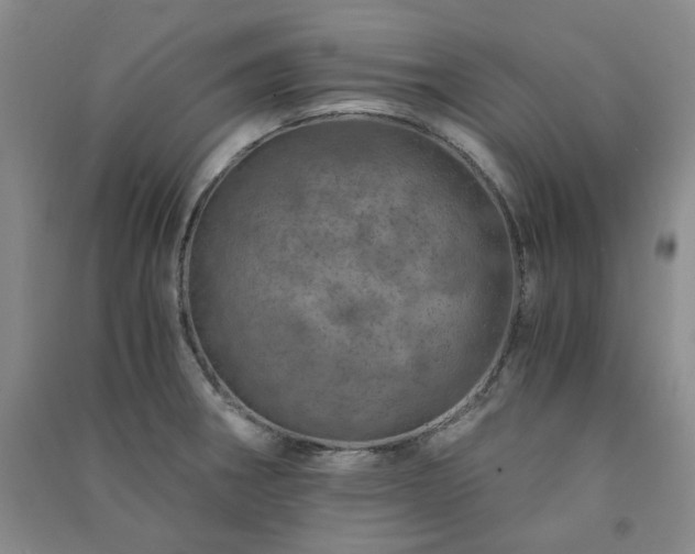 X0000091361282200708171516