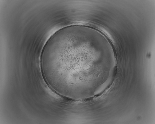 X0000091361283200708171516