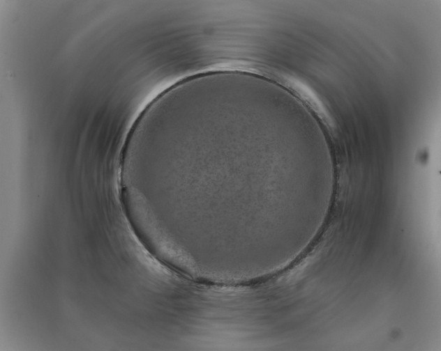 X0000091361284200708171516