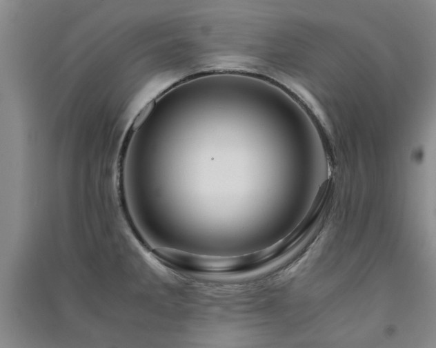 X0000091361285200708171516