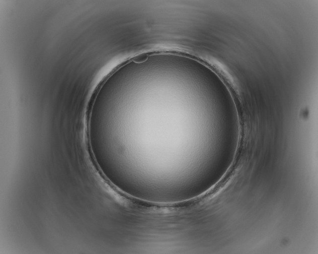 X0000091361286200708171516