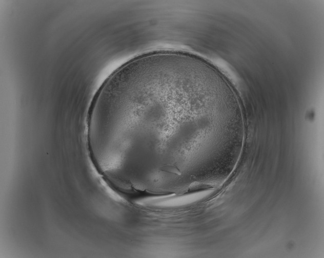 X0000091361287200708171516