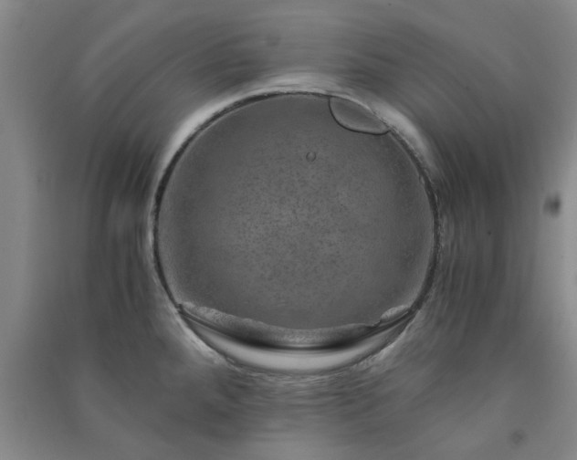 X0000091361288200708171516