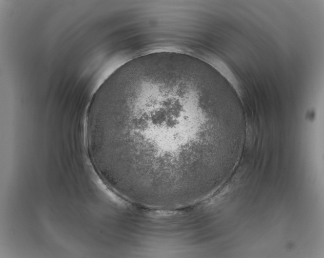 X0000091361290200708171516