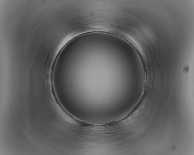 X0000091361291200708171516