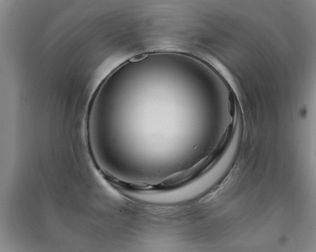 X0000091361293200708171516
