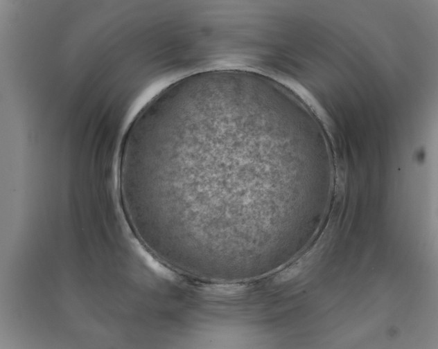 X0000091361294200708171516