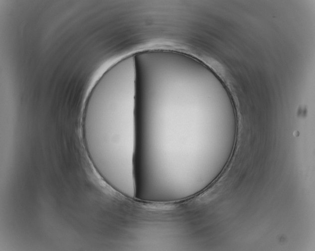 X0000091361296200708171516
