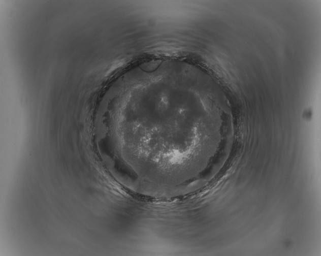 X0000091361297200708171515