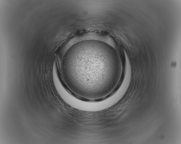 X0000091361298200708171515
