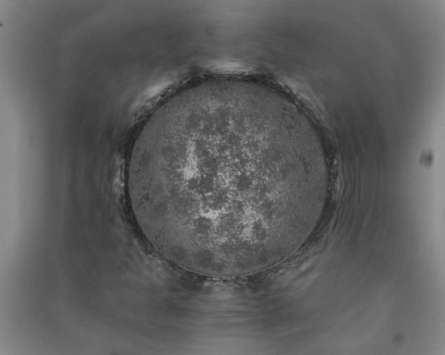 X0000091361301200708171515