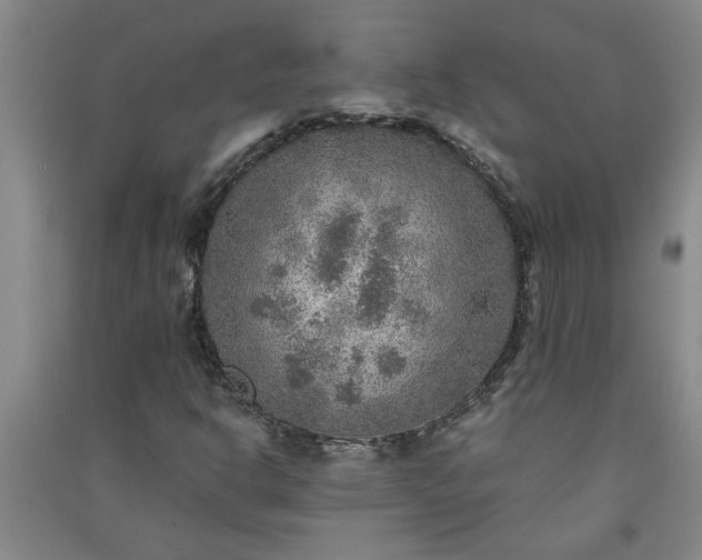 X0000091361302200708171515