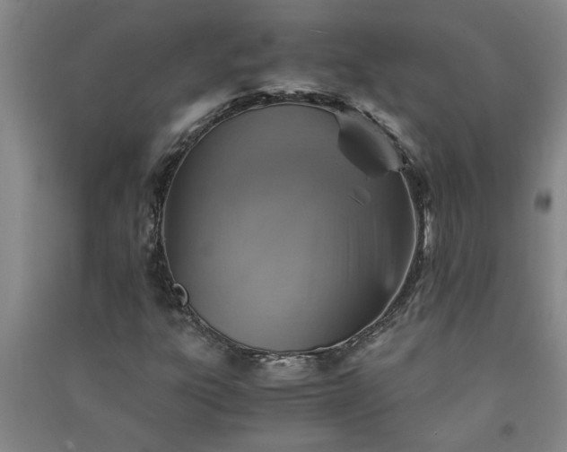 X0000091361303200708171515