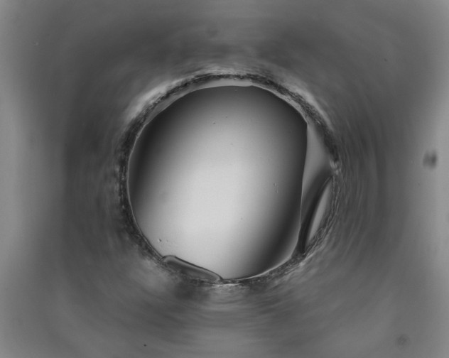 X0000091361304200708171515