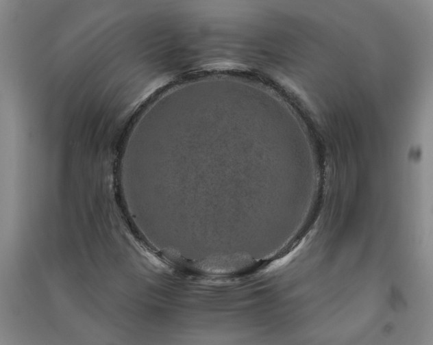 X0000091361305200708171515