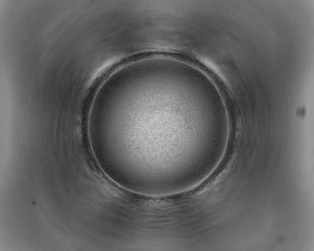 X0000091361307200708171515