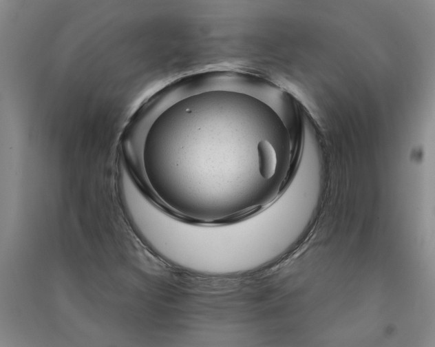 X0000091361308200708171515