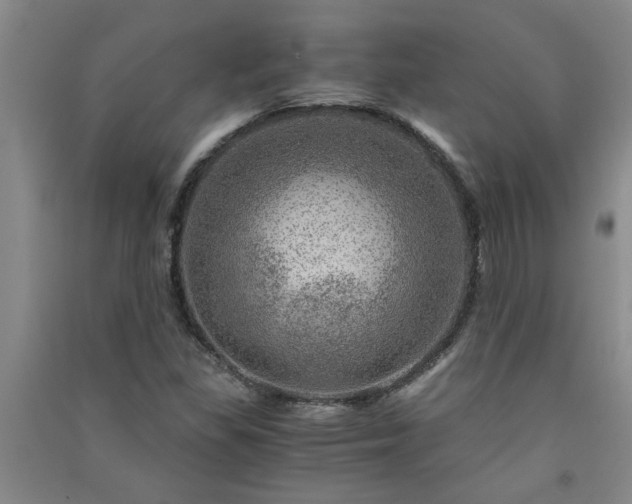 X0000091361309200708171515
