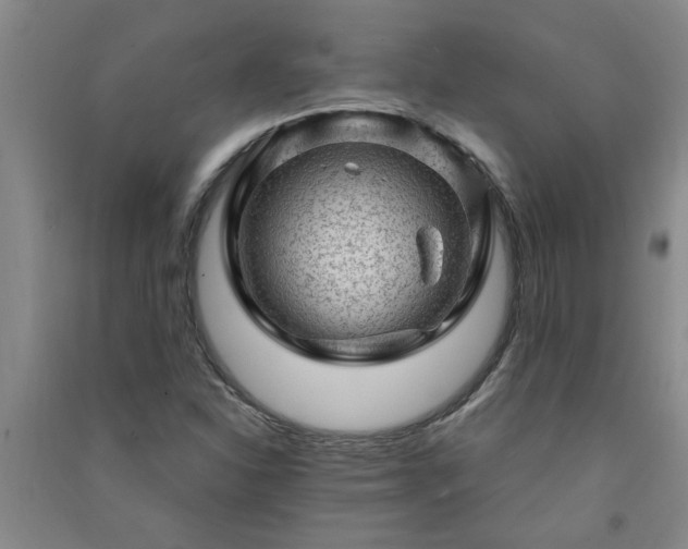 X0000091361310200708171515