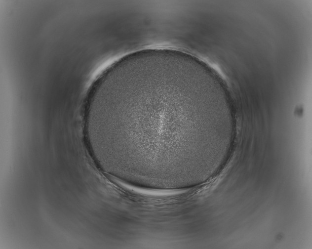 X0000091361311200708171516