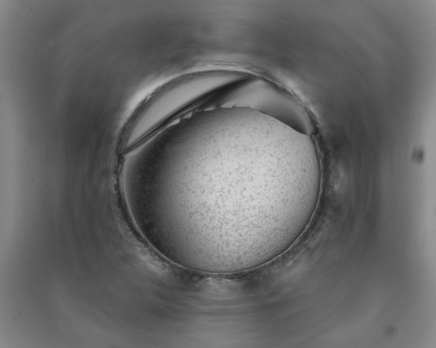 X0000091361312200708171516