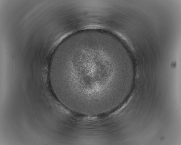 X0000091361313200708171516