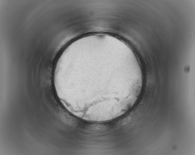 X0000091361314200708171516