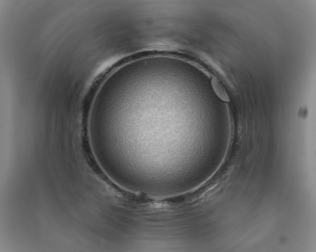X0000091361315200708171516