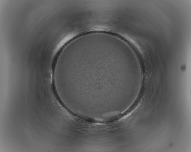 X0000091361317200708171516