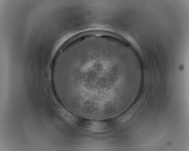 X0000091361318200708171516