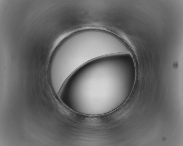 X0000091361320200708171516