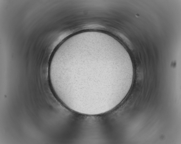 X0000091361322200708171516