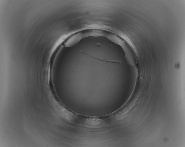 X0000091361323200708171516