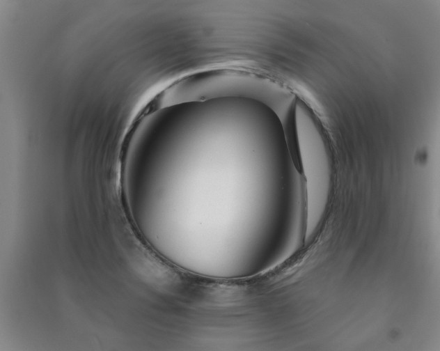 X0000091361324200708171516