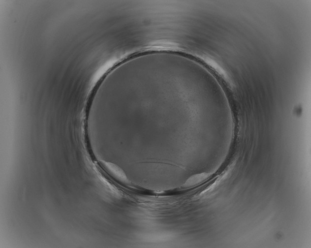 X0000091361325200708171516