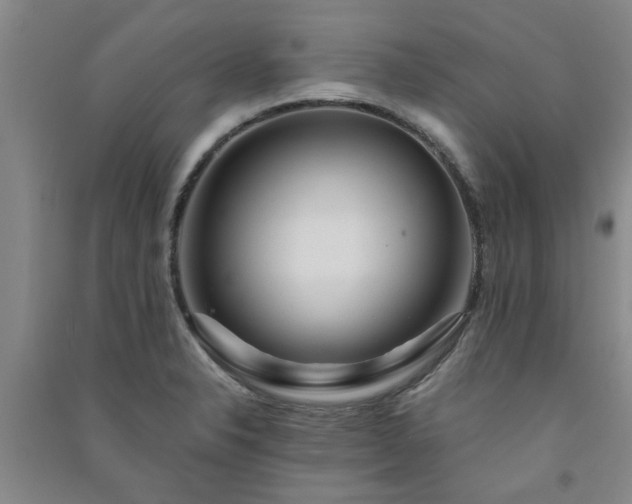 X0000091361326200708171516
