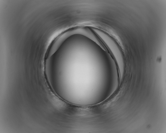 X0000091361328200708171516