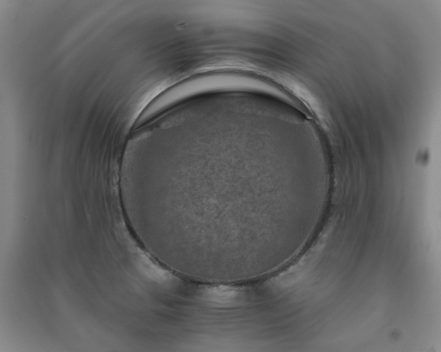 X0000091361329200708171516