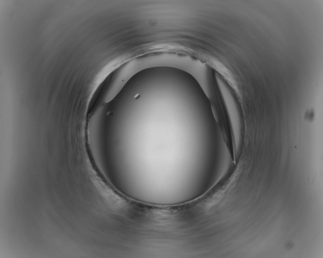 X0000091361330200708171516