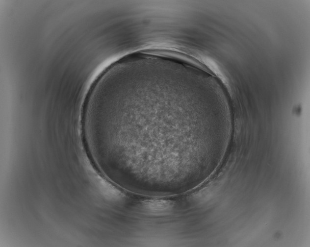 X0000091361331200708171516