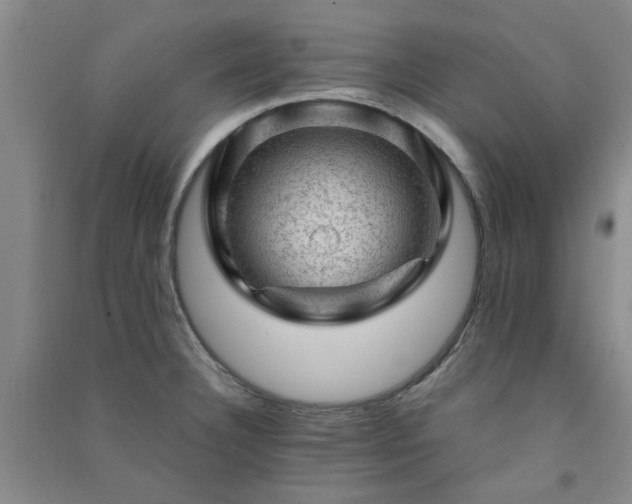 X0000091361332200708171516