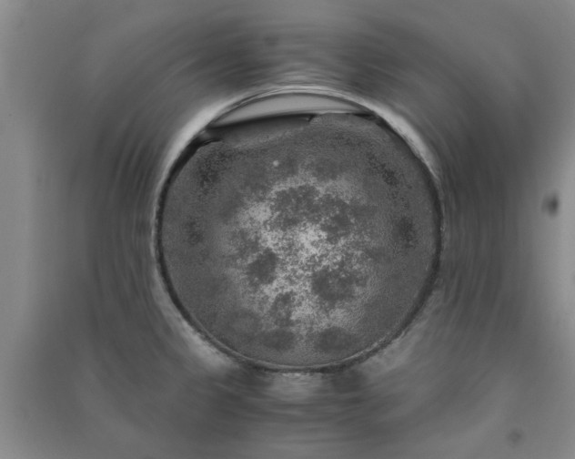 X0000091361333200708171516