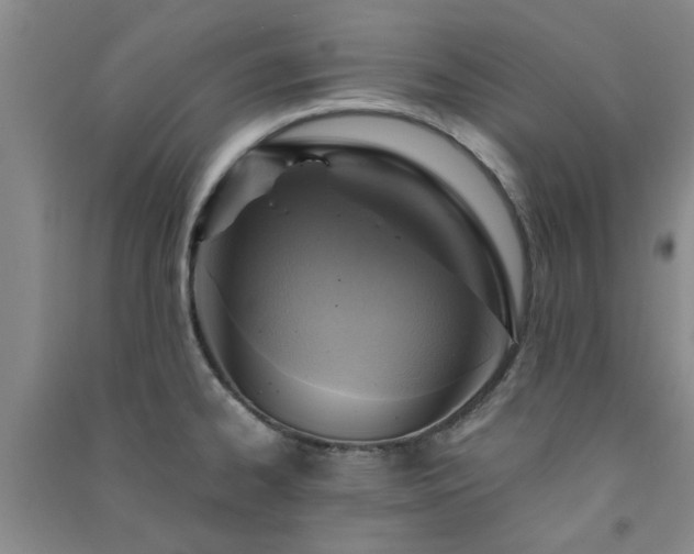 X0000091361334200708171516