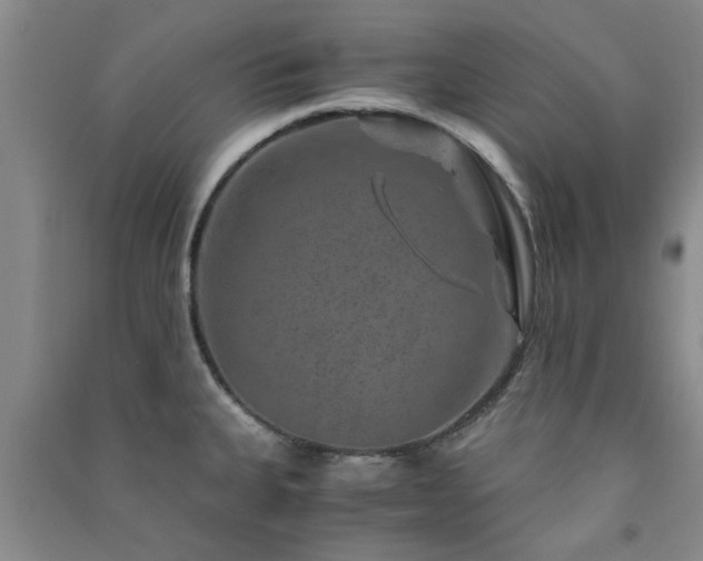 X0000091361335200708171516