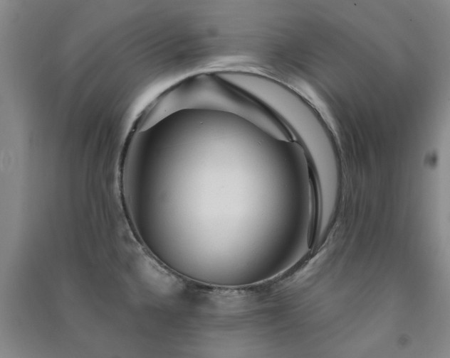 X0000091361336200708171516