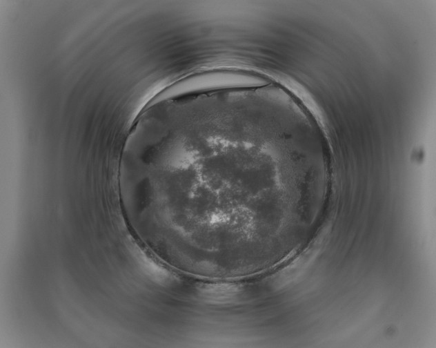 X0000091361337200708171516
